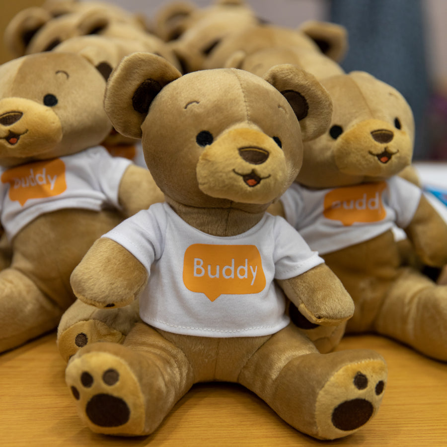 B1G1 Buddy Bear